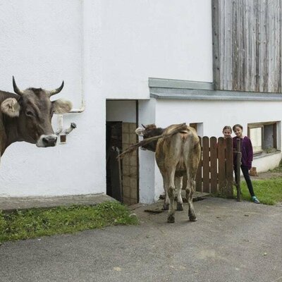 Es geht wieder in den Stall