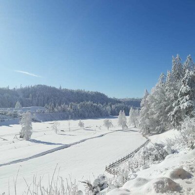 Blick auf den verschneiten  Reintalersee