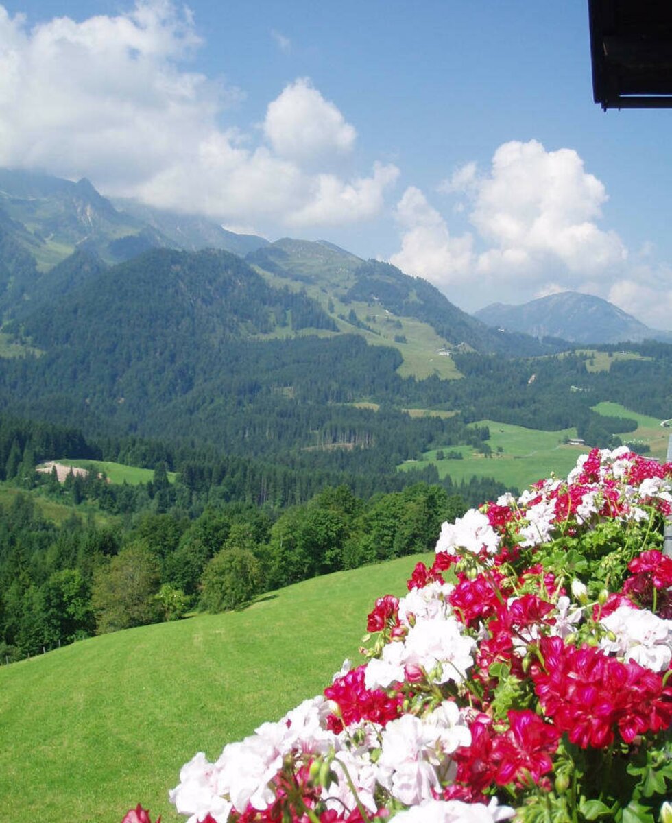 Ausblick auf die Bergwelt