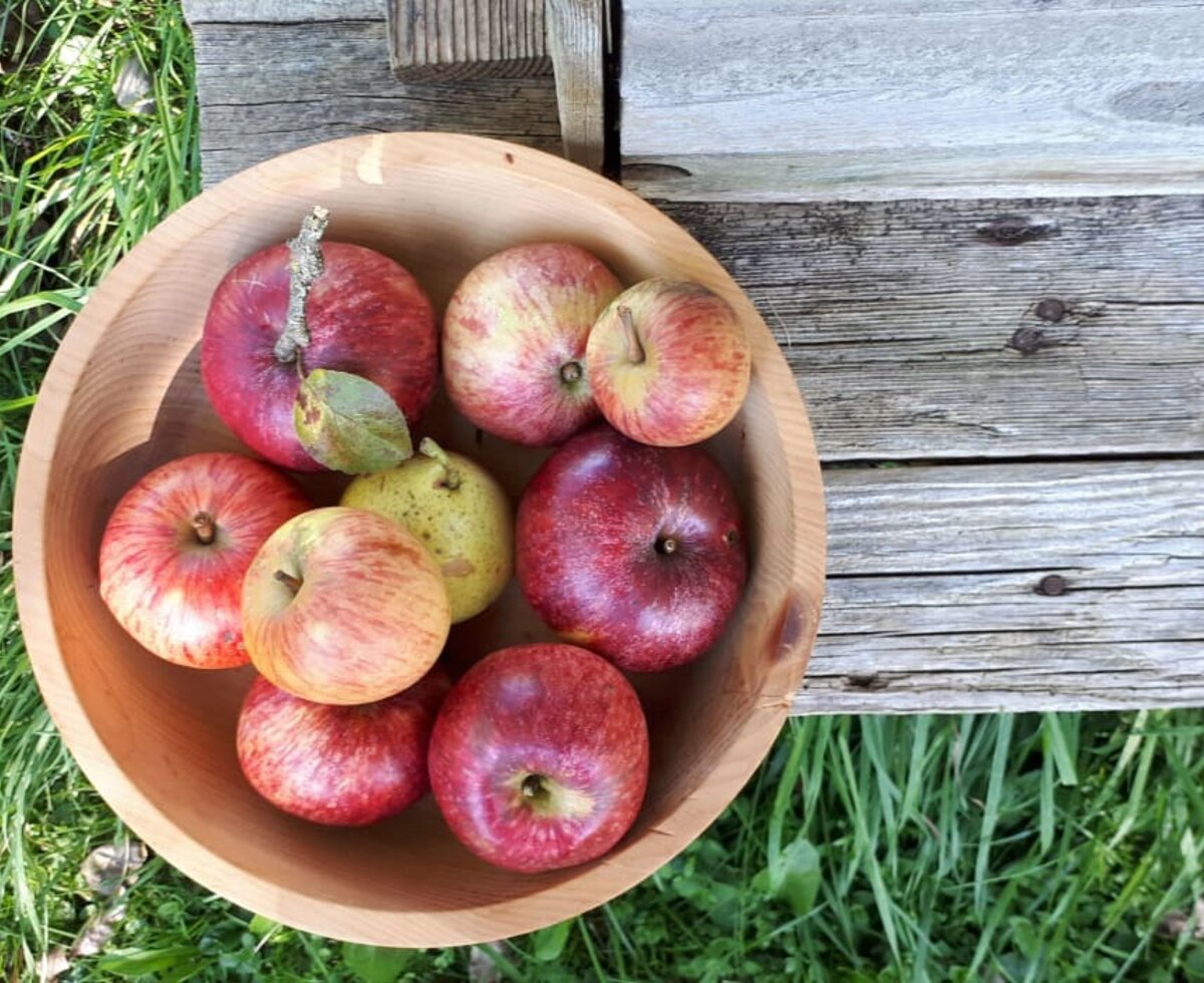 Obst direkt aus dem Garten schmeckt am besten!