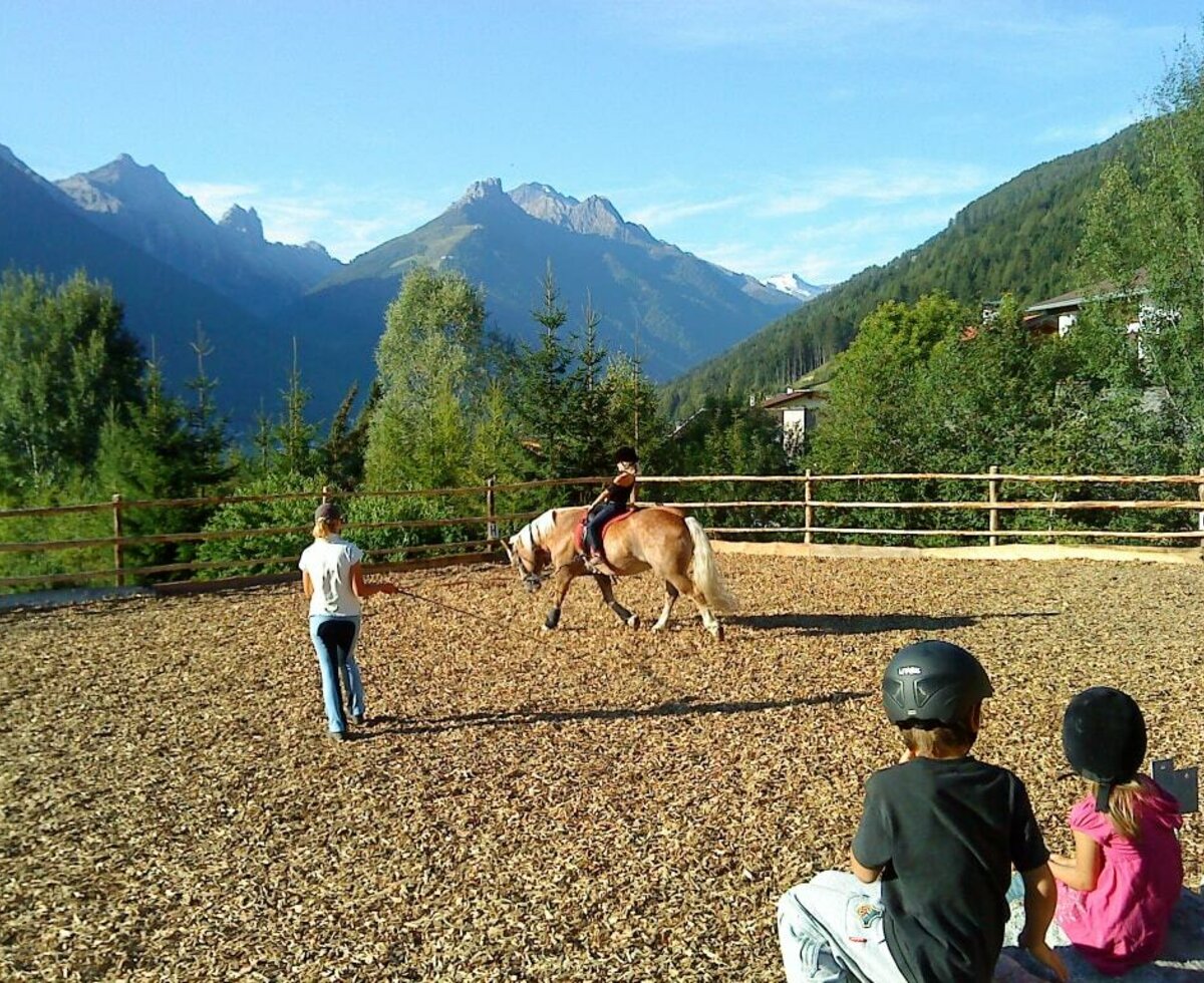 Traumhaft gelegen ist unser Reitplatz! Mit eigenen Hackschnitzel ist er ideal zum Reiten für jede Jahreszeit