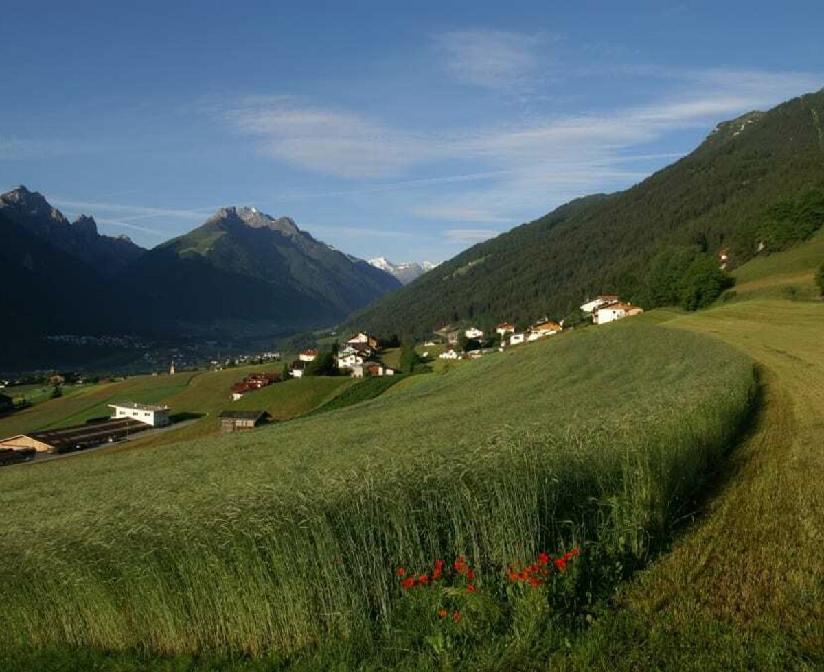 Biogetreide von den Feldern des Kassnhofes