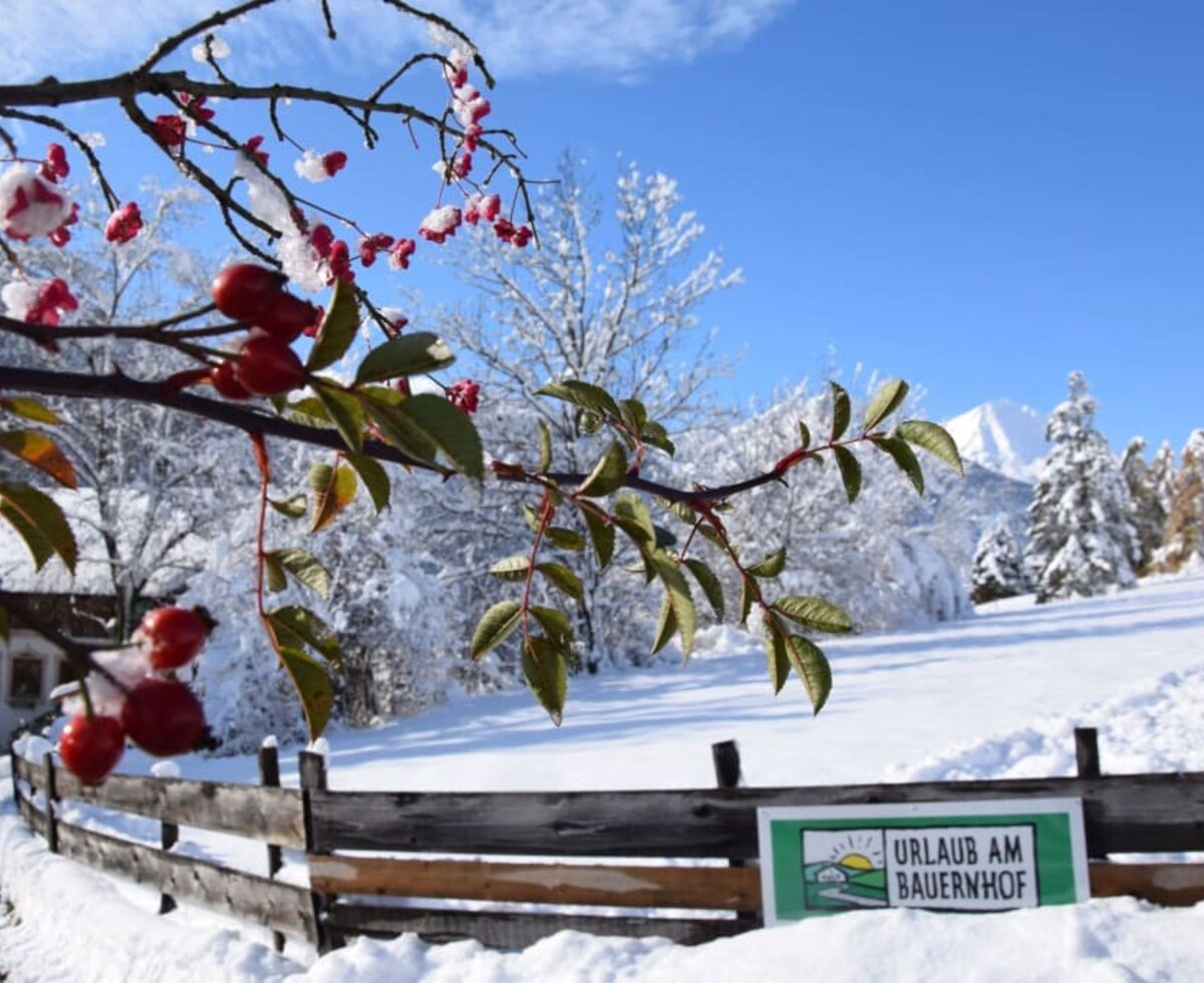 Kalmpererhof Urlaub am Bauernhof