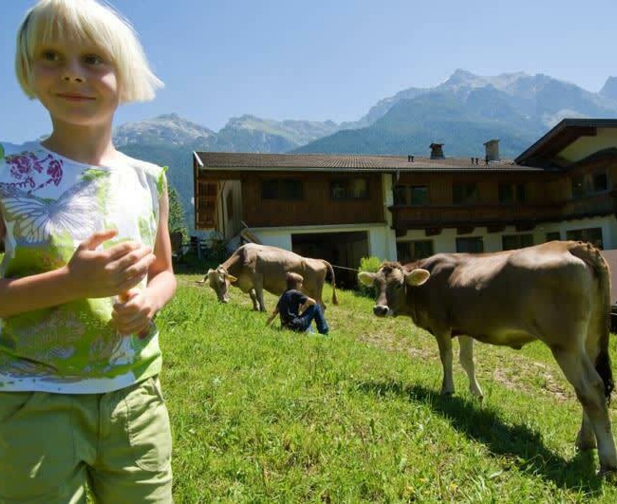 Kühe am Ladestatthof