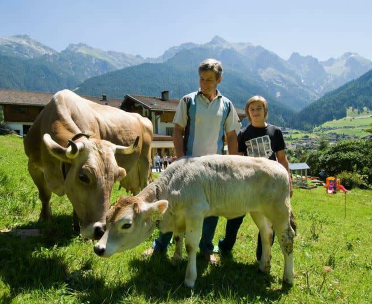 Kühe am Ladestatthof