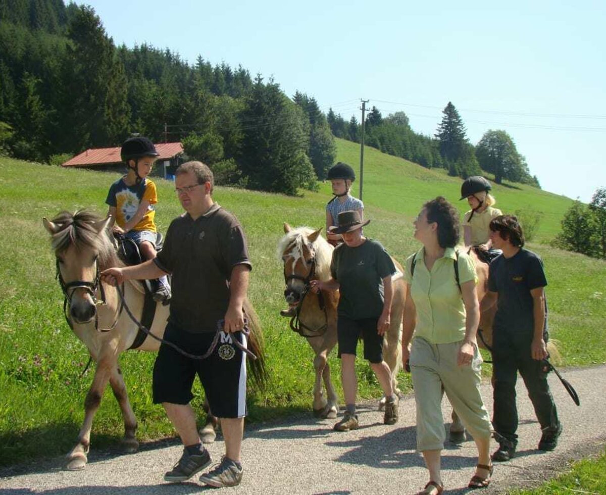 Pferdetrekking Sommer