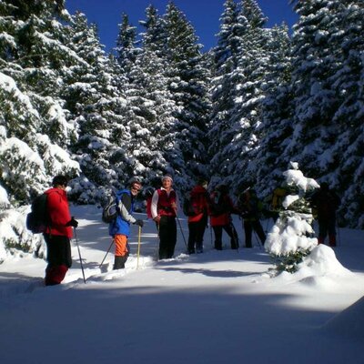 Wandern mit Bergwanderführer Birgit