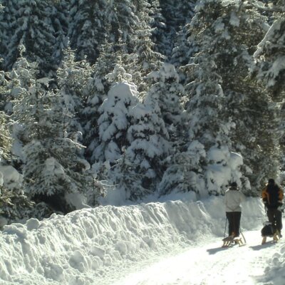 Rodelweg im Fotschertal