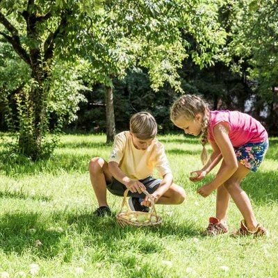 im Obstgarten