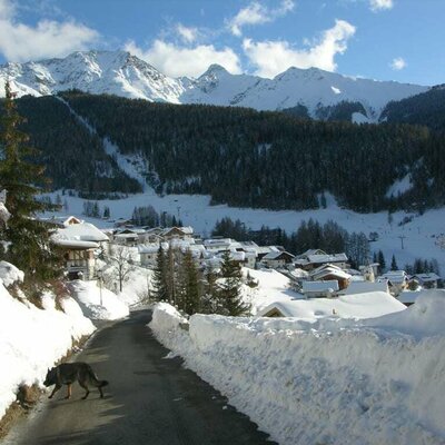 Spazierweg oberhalb vom Naturerlebnis Lärchenhof