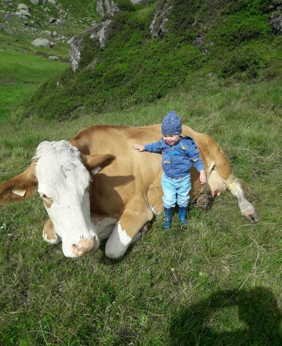 Leo mit seiner Lieblingskuh Goldi