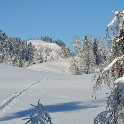 Blick auf die Streif vom Appartemet Kaiserblick