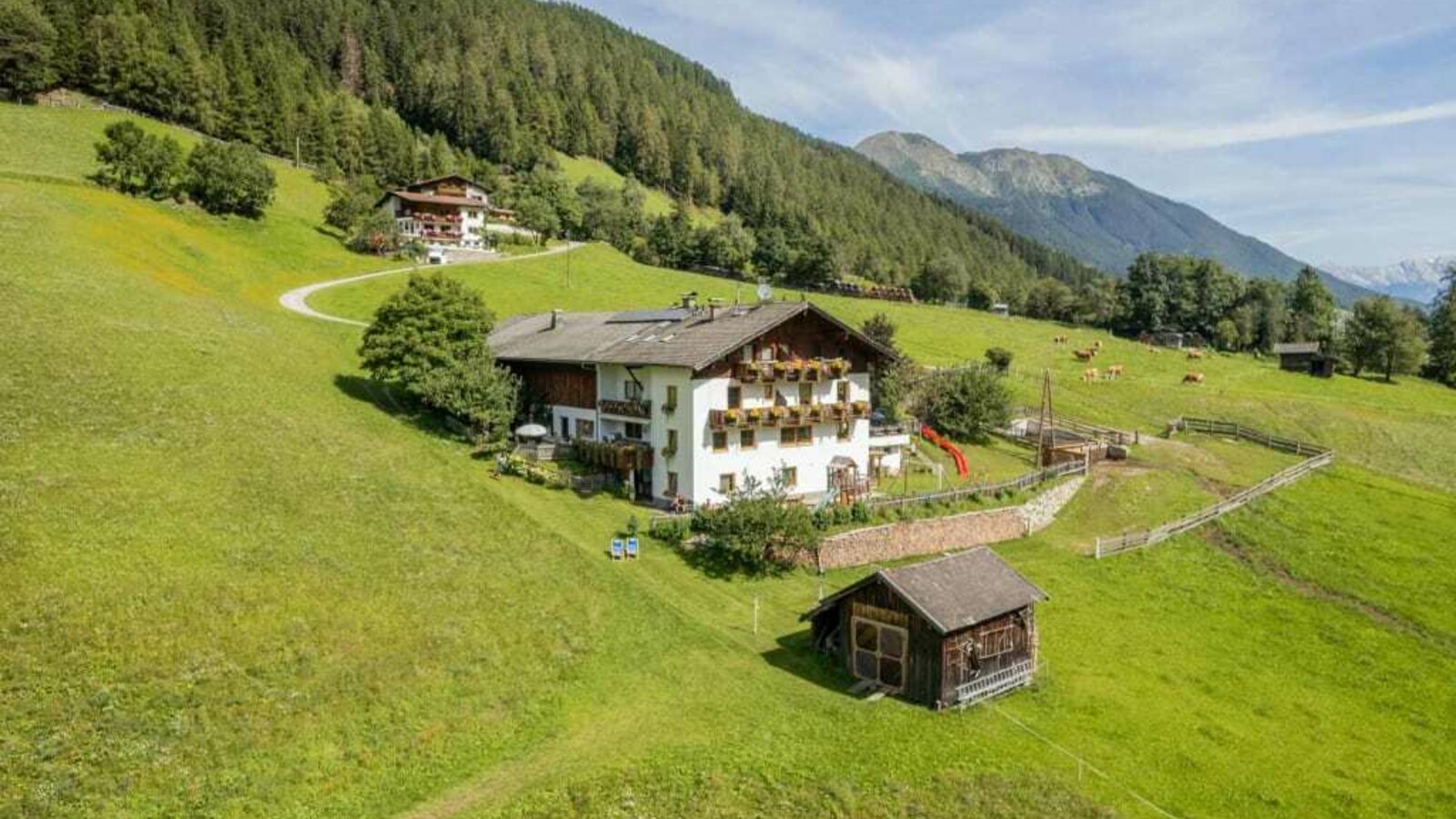 Omesbergerhof - Neustift im Stubaital