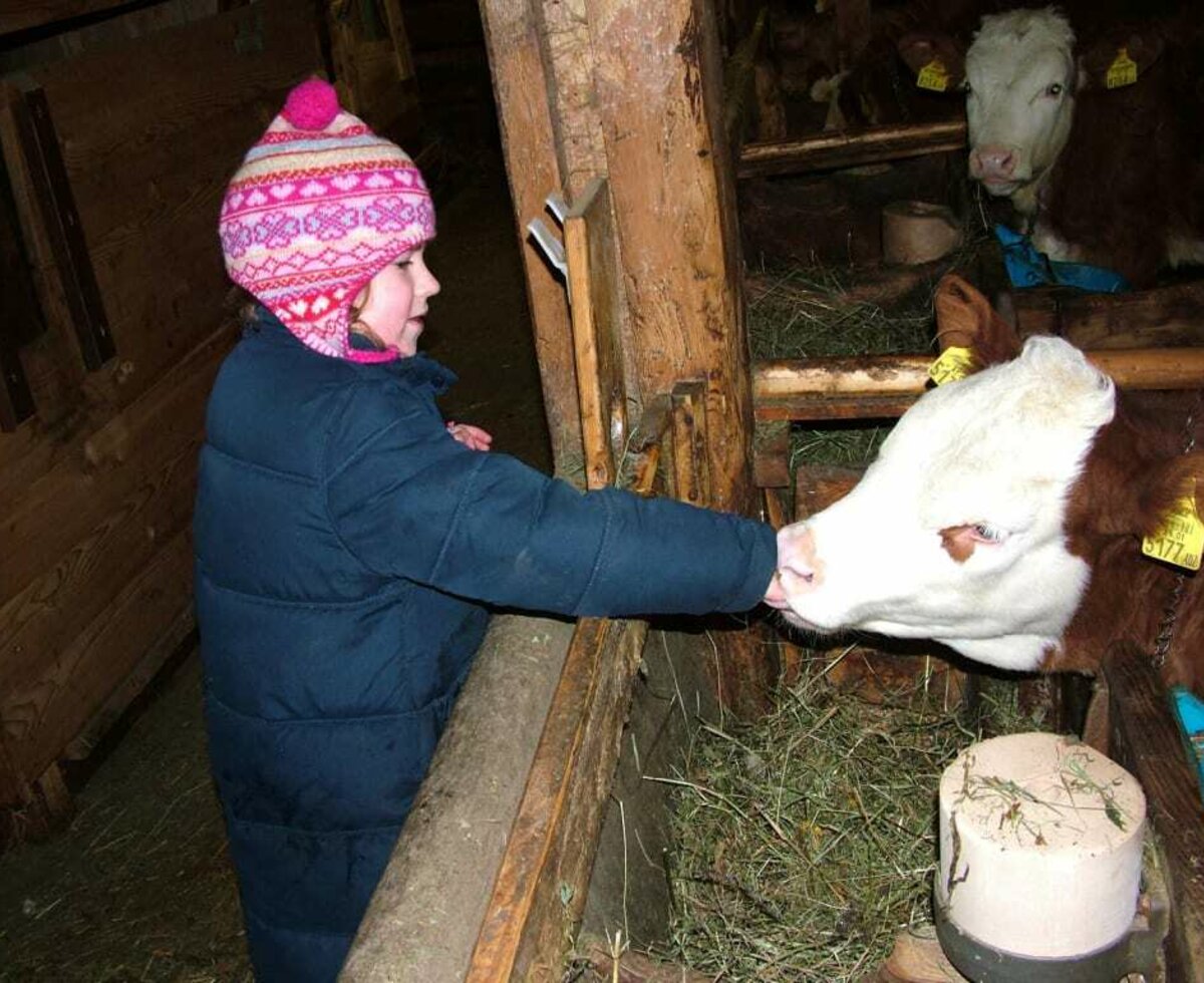 Tiere am Bauerhof