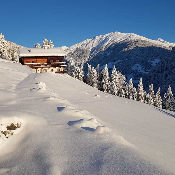 Der Bauernhof, umgeben von einer tief verschneiten Berglandschaft und Tannenbäumen. Der Bauernhof, umgeben von einer tief verschneiten Berglandschaft und Tannenbäumen.