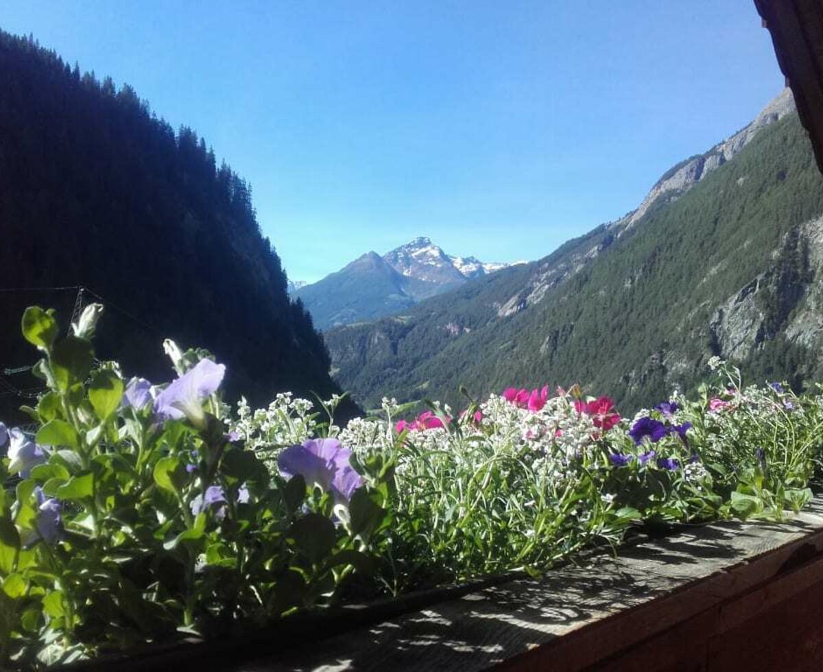 Ausblick vm Rieplerhof in den Nationlapark Hohe Tauern