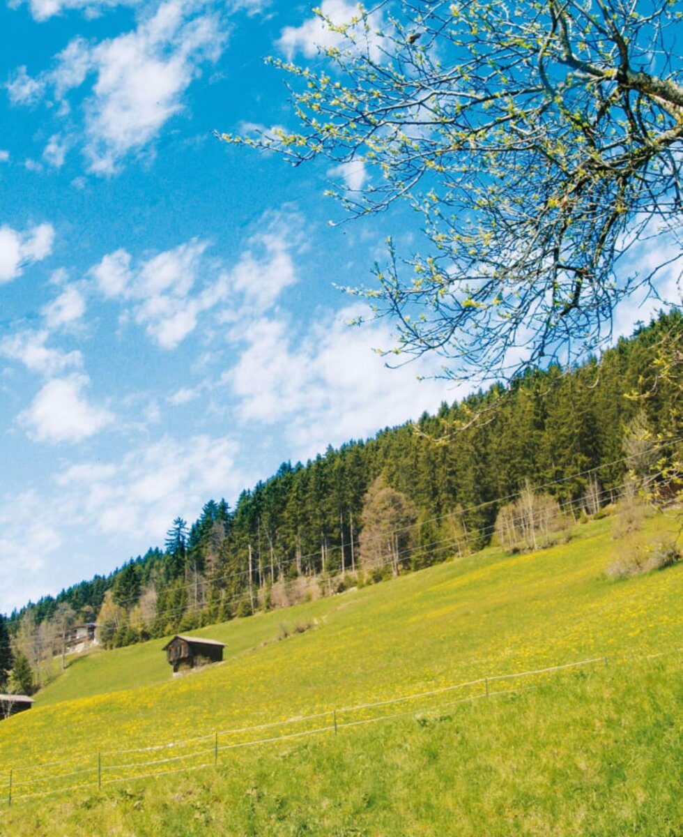 Frühling am Gerlosberg