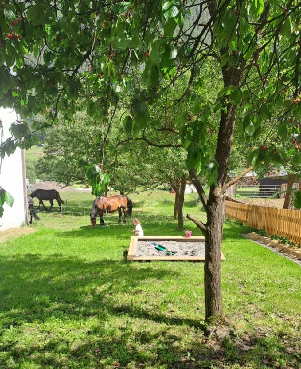 Direkt neben dem Garten grasen unsere Pferde und Kühe