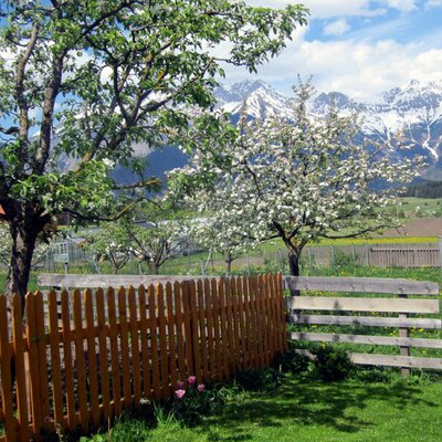 Garten mit Ausblick auf die Nordkette