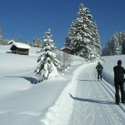 Langlaufen - Piller Sattel