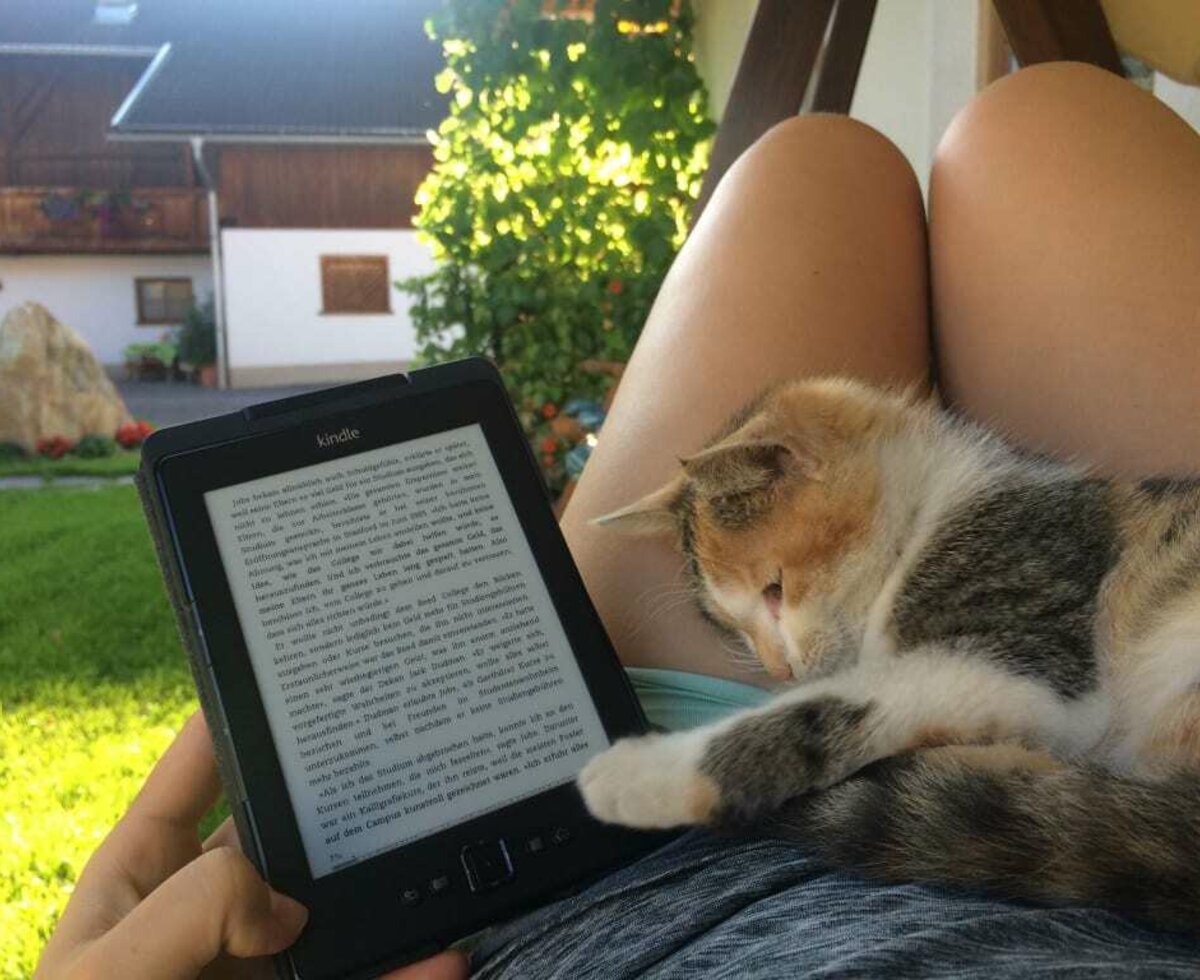 Katze beim Lesen