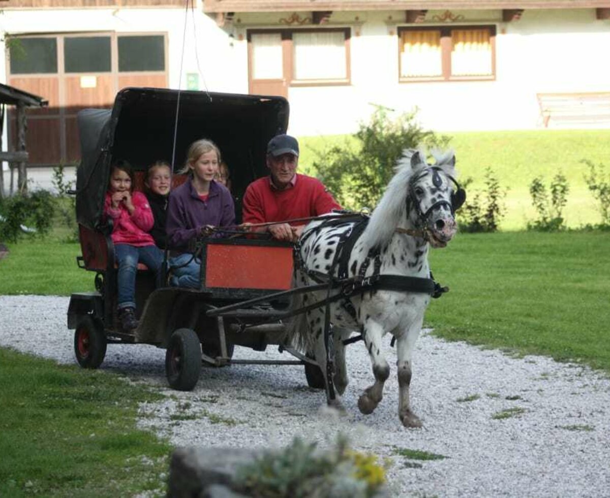 Unsere Ponykutsche