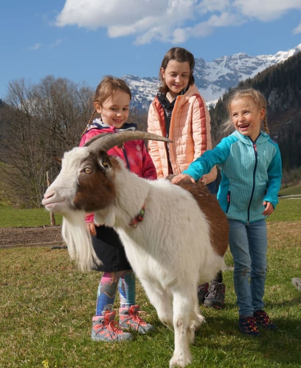 Spaziergang mit unserem braven "Benni"