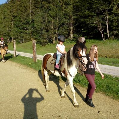 Geführtes Reiten in den Sommermonaten Juni-Oktober