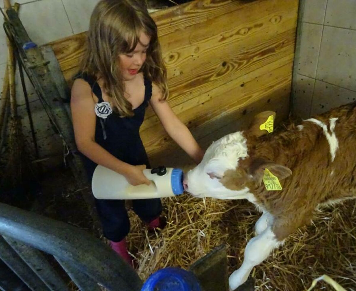 Kinder helfen im Stall