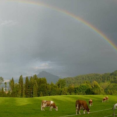 Regenbogen