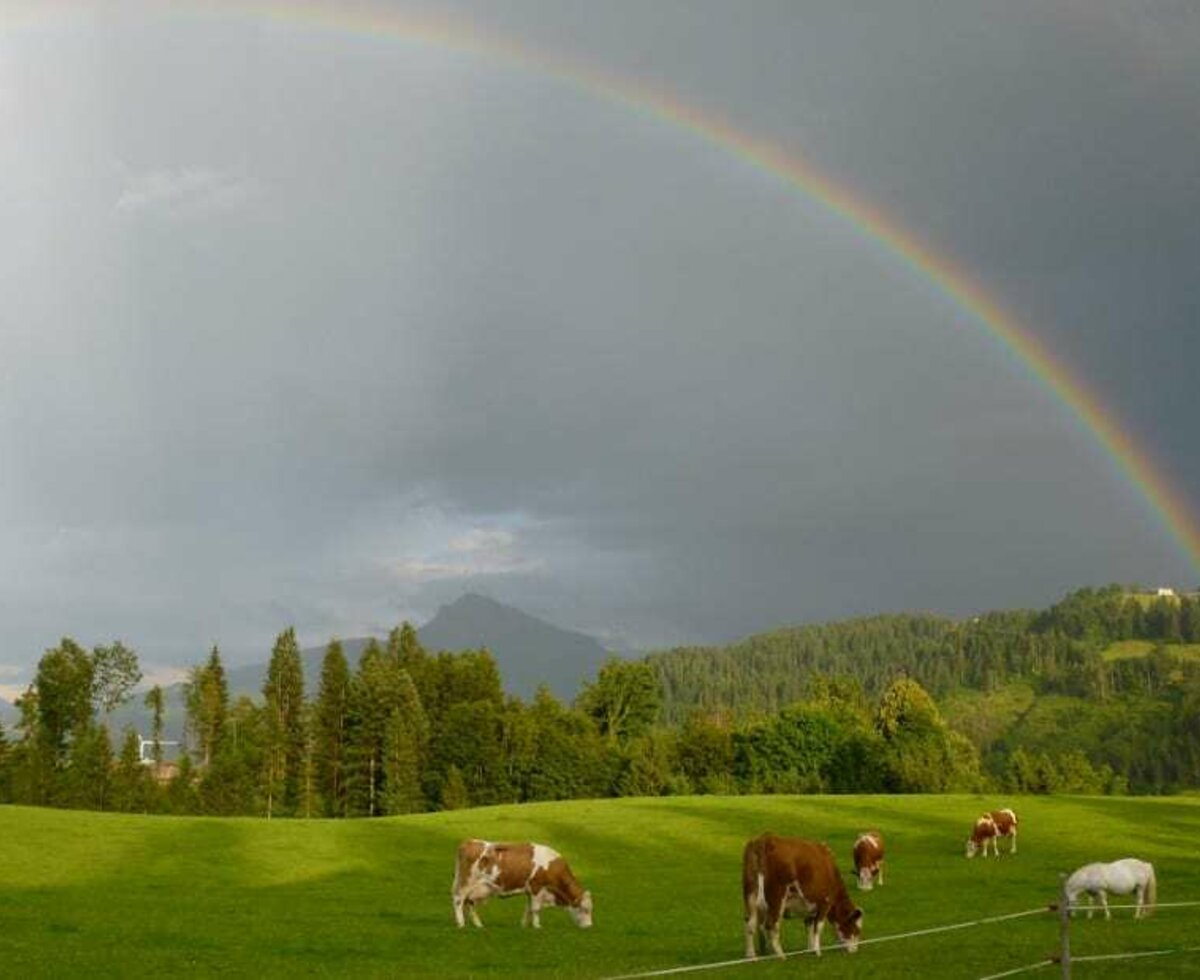 Regenbogen