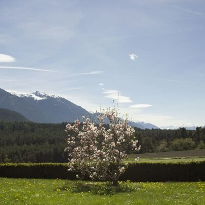 Blick nach Westen über das Plateau