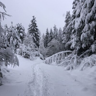 Winter Umgebung Ferienwohnung