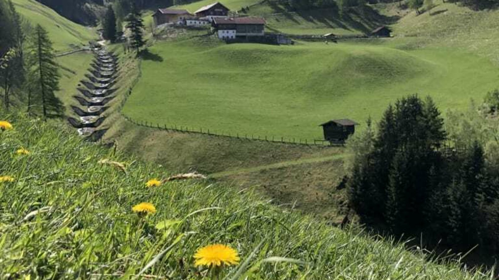 der Bergbauernhof Zirkenhof