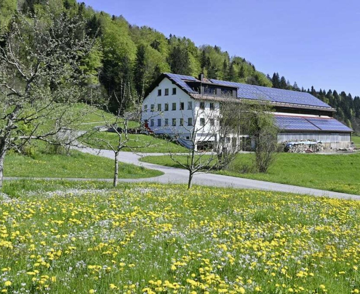 Unser Hof im Frühling