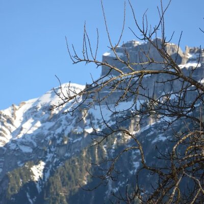 Unser Hausberg Kanisfluh