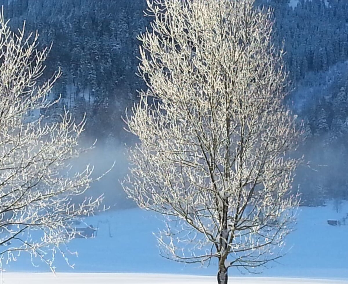 Winter in den Bergen