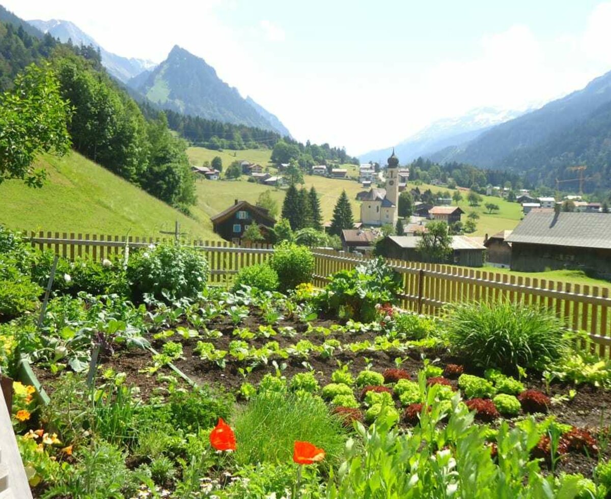 Unser Hausgarten