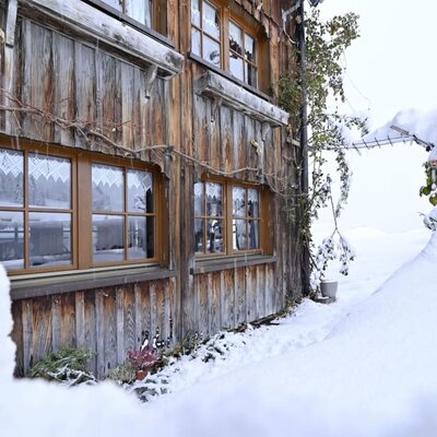 Wohnung zu vermieten, Ferienwohnung, Bauernhof Scheider, Egg, Bregenzerwald, Vorarlberg