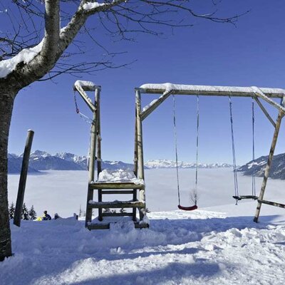 Die hofeigene Schaukel im Winter mit Nebelmeer.