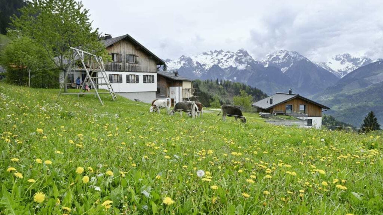 Unsere Hofansicht auf 1200 Metern im Sommer.