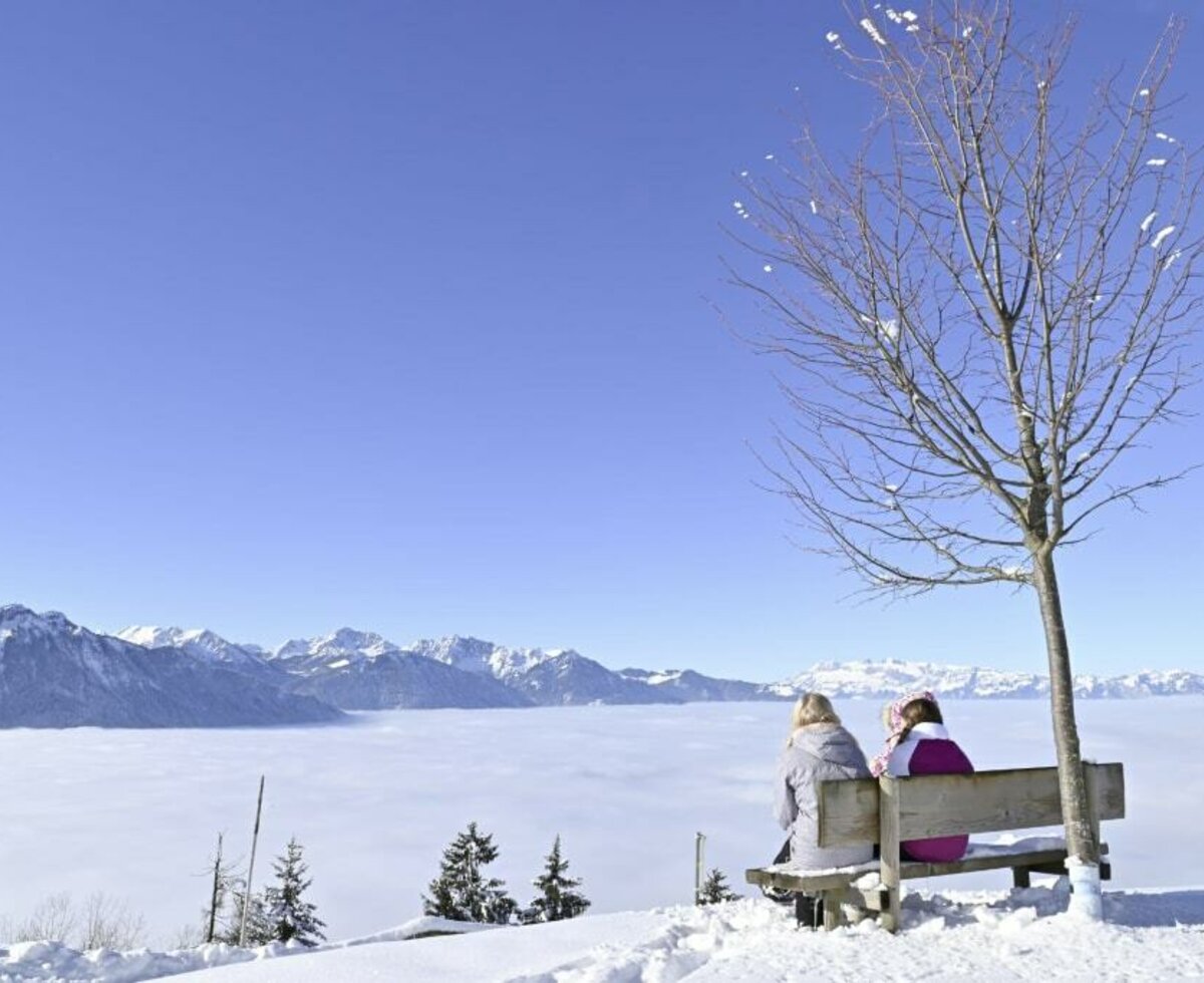 Fröhliche Kinder im Schnee bei strahlendem Sonnenschein.