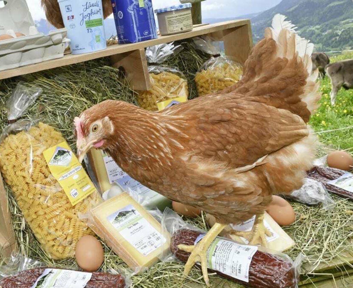 Hier sehen Sie unsere Hofprodukte mit hofeigenem Huhn.