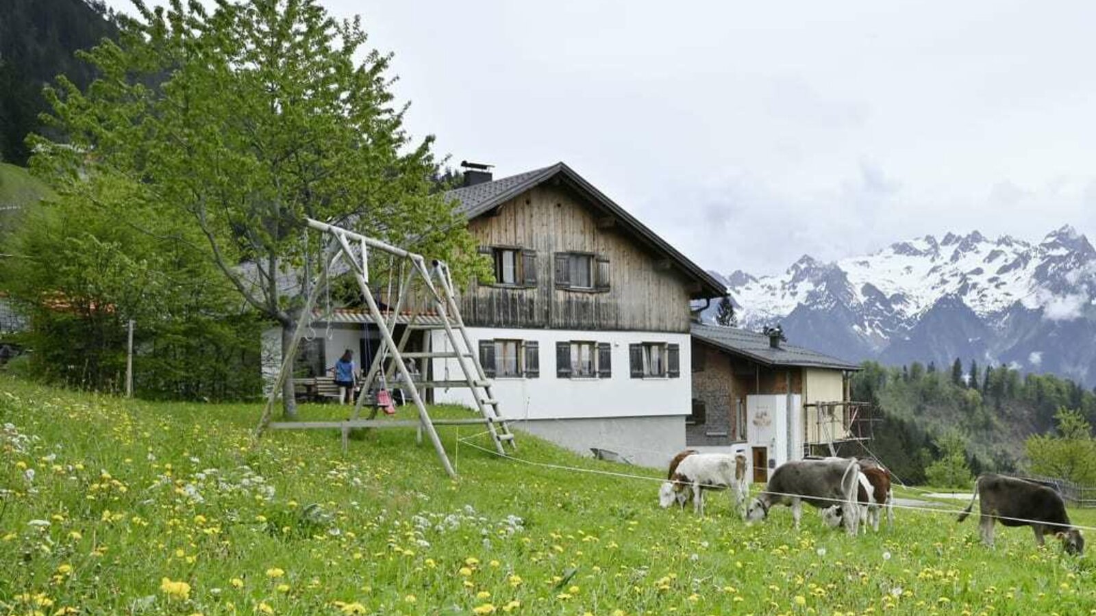 Unsere Hofansicht auf 1200 Metern im Sommer, machen Sie Urlaub bei uns.