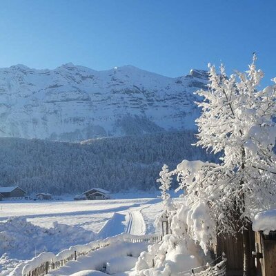 Blick auf die Kanisfluh im Winter