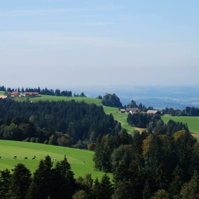 Blick vom Skywalk auf unser Haus