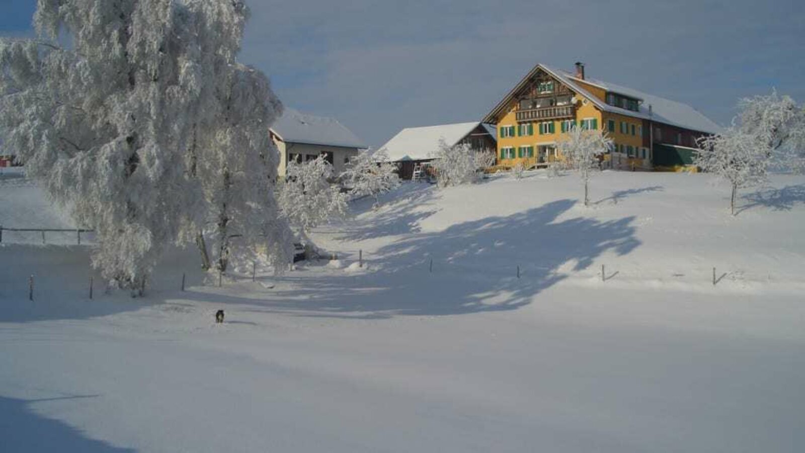 Bio-Hof auf der Kuppe