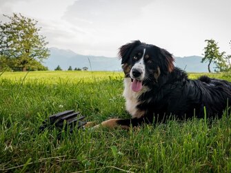 Luna immer dabei