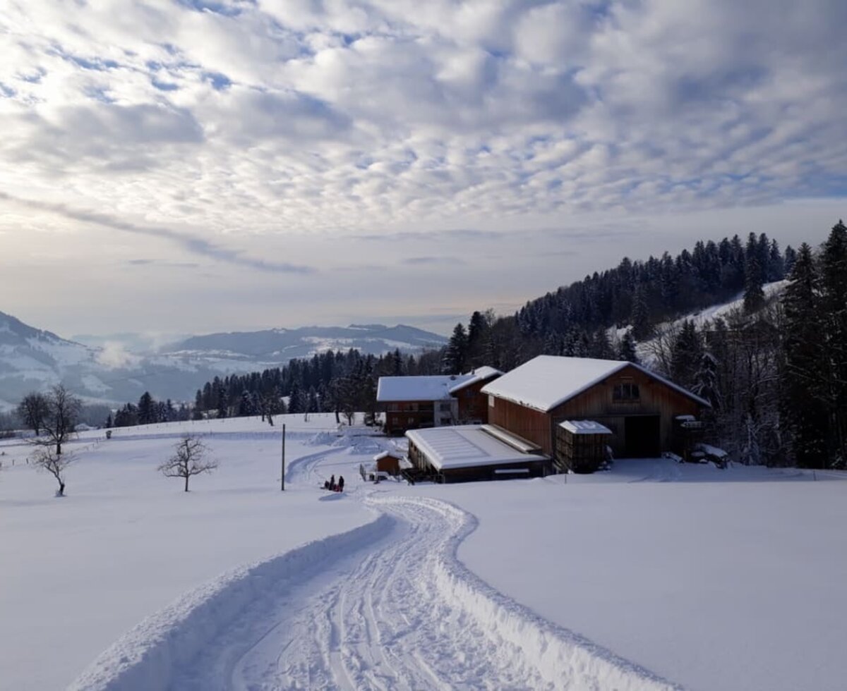 Bei guten Schneeverhältnissen Rodelbahn direkt vor dem Haus