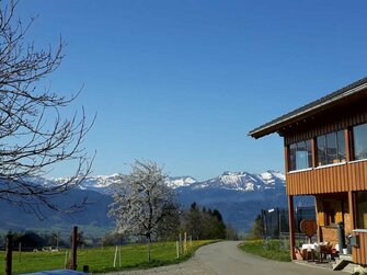 Blick in den Schnee